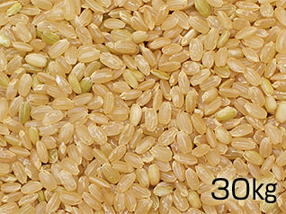 六郷米（玄米）30kgの写真