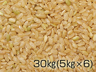 六郷米（玄米）小分け30kg（5kg×6袋）の写真