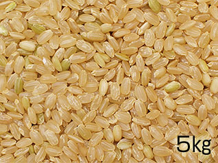 六郷米（玄米）5kgの写真