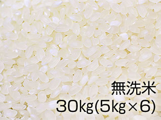 六郷米（無洗米）小分け30kg（5kg×6袋）の写真