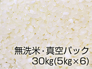 六郷米（無洗米）小分け真空保存パック30kg（5kg×6袋）の写真