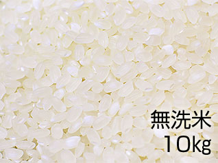 六郷米（無洗米）10kgの写真