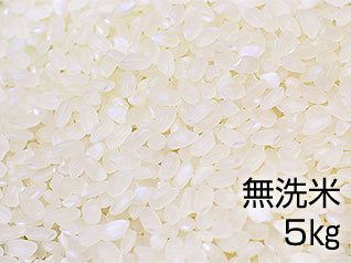 六郷米（無洗米）5kgの写真